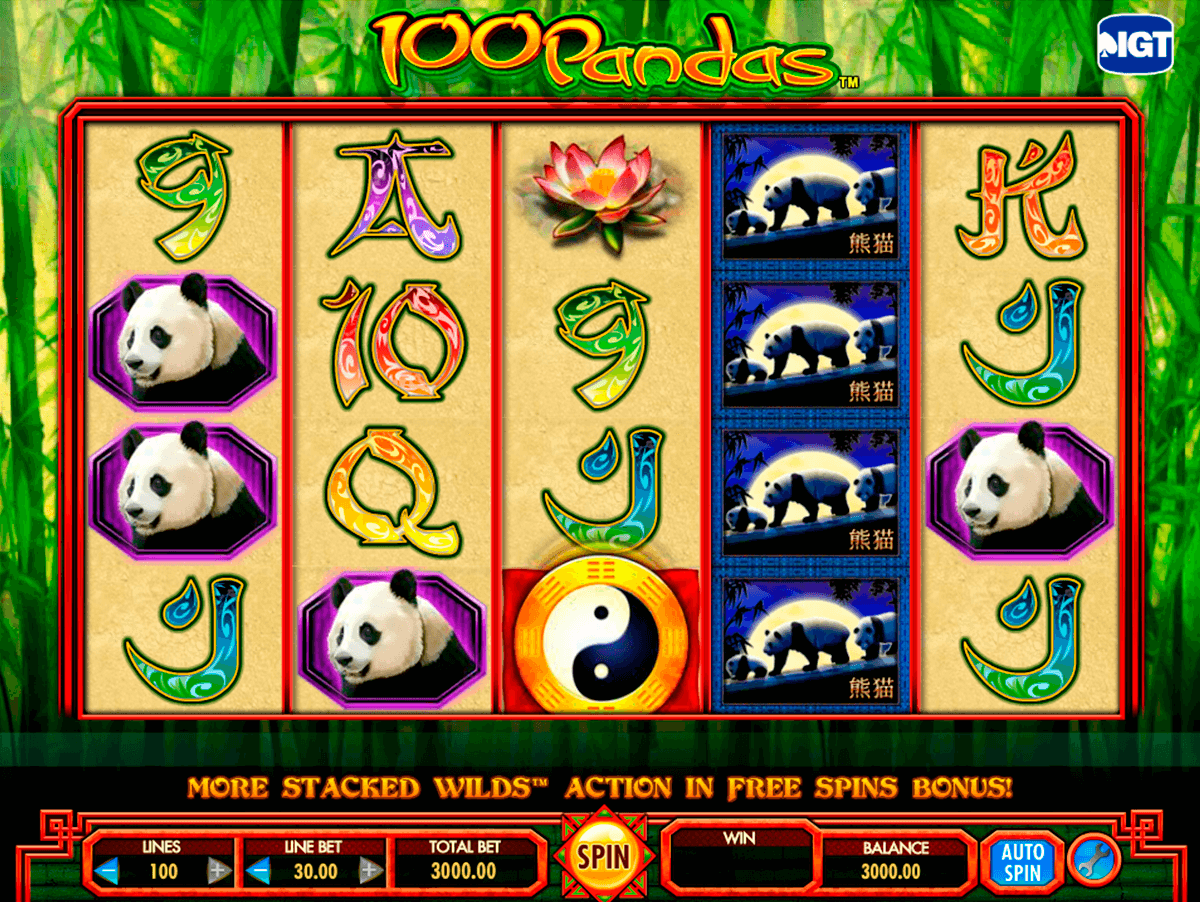 pandas igt