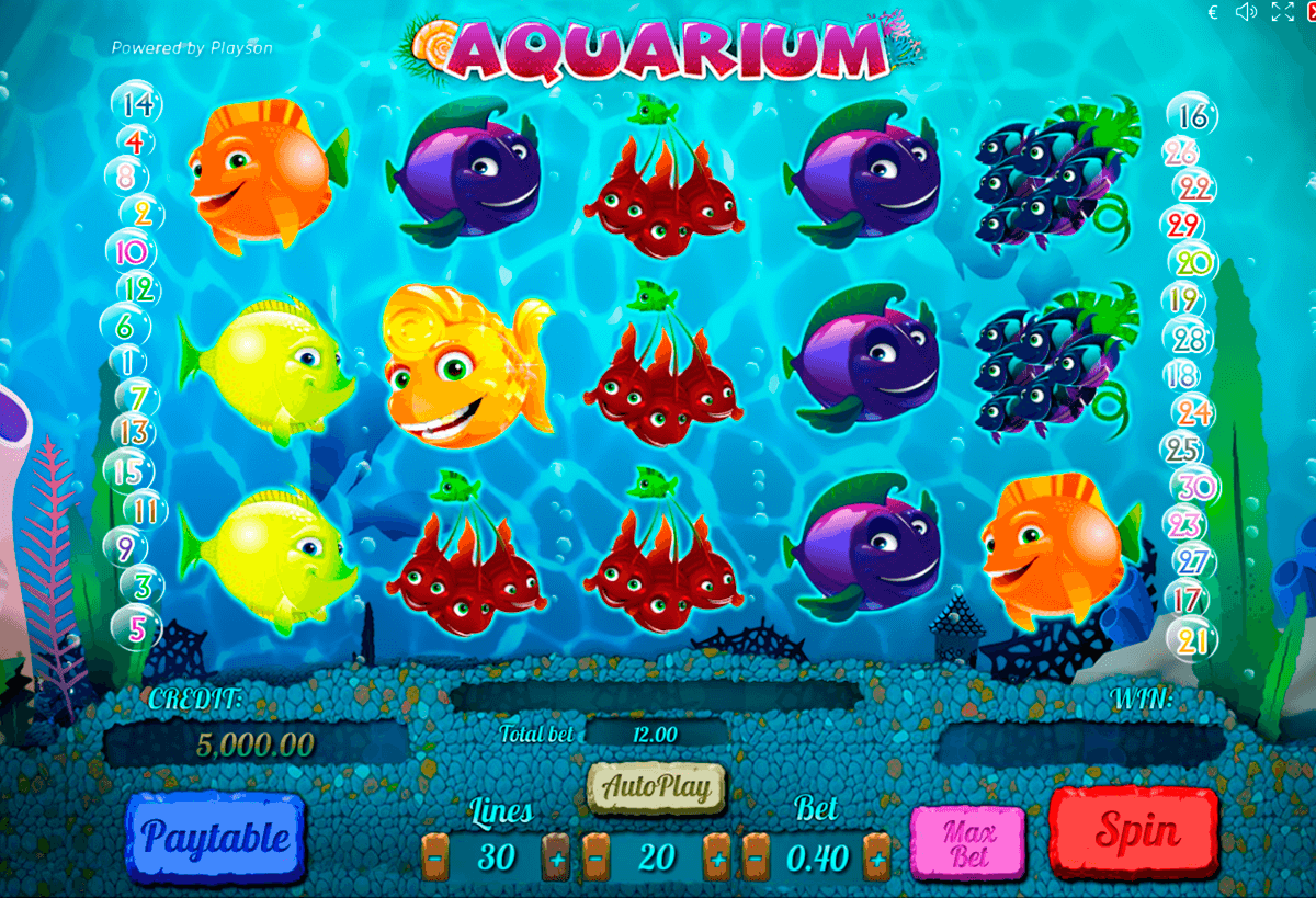 aquarium playson