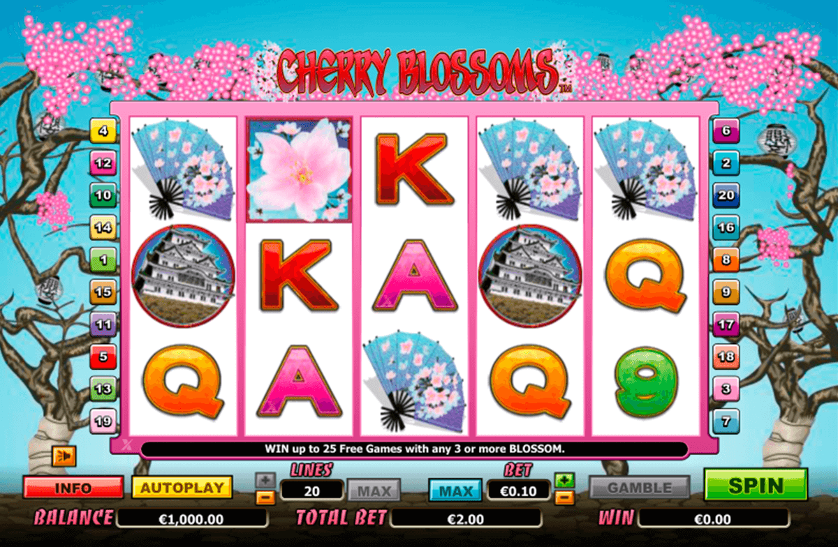 cherry blossoms netgen gaming