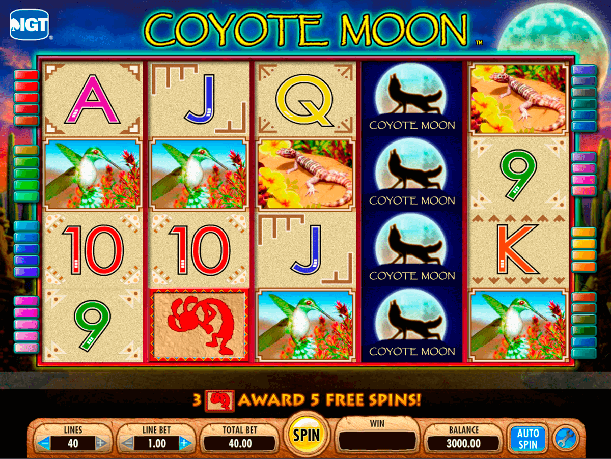 coyote moon igt