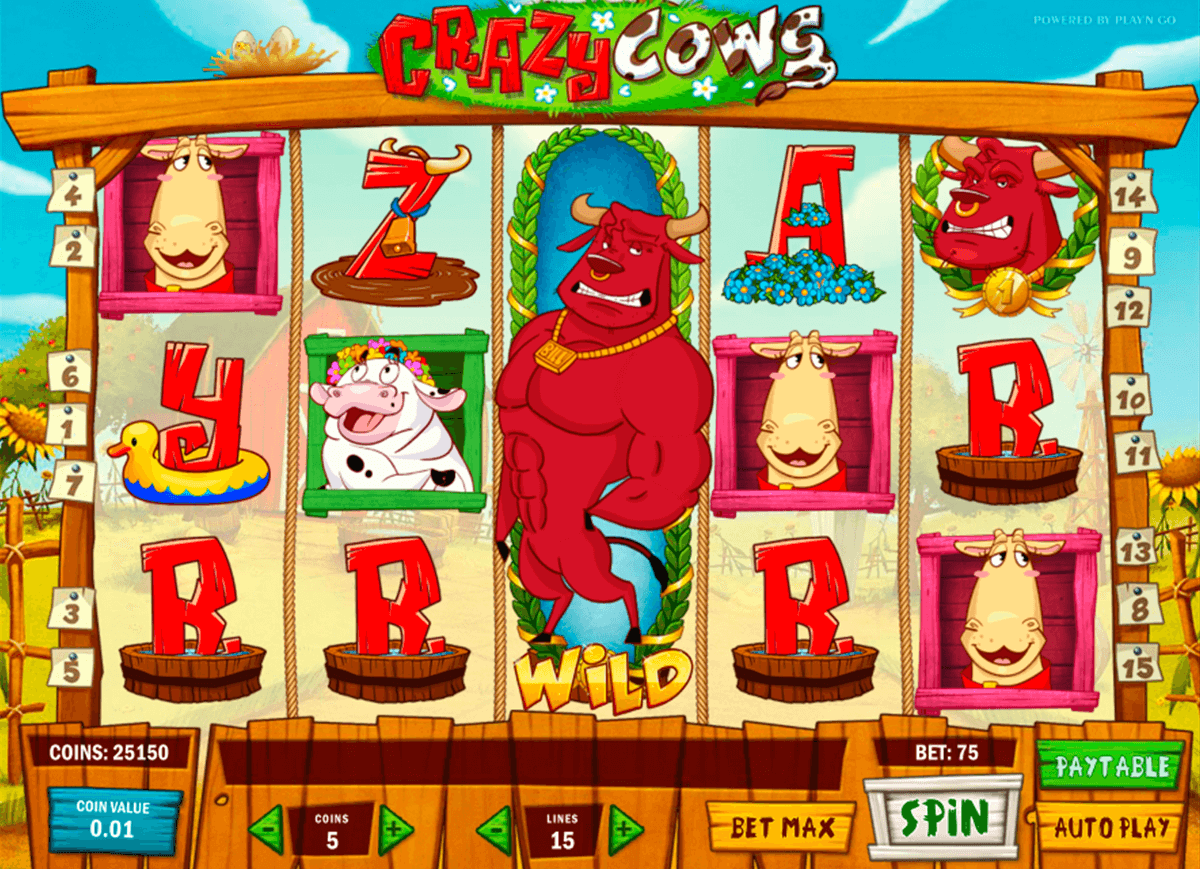 crazy cows playn go