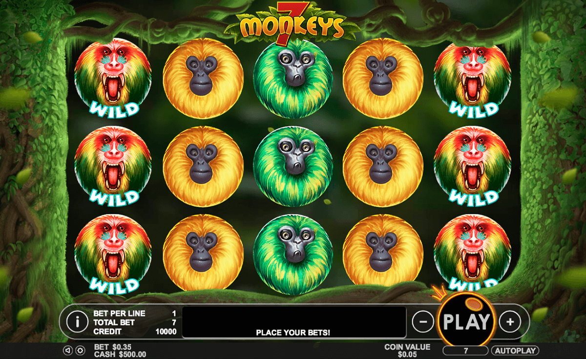 monkeys pragmatic