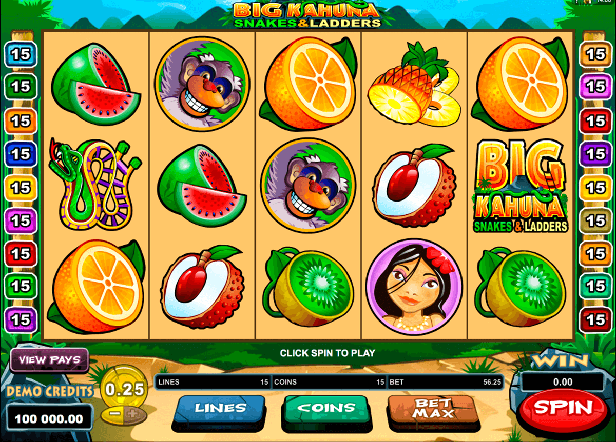 big kahuna snakes and ladders microgaming