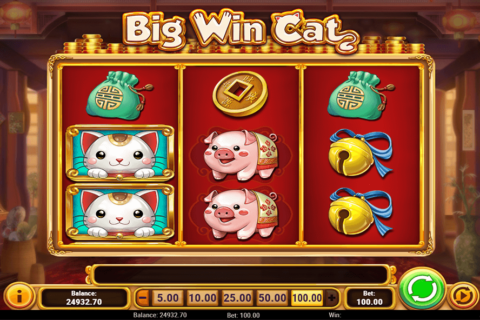 big win cat playn go