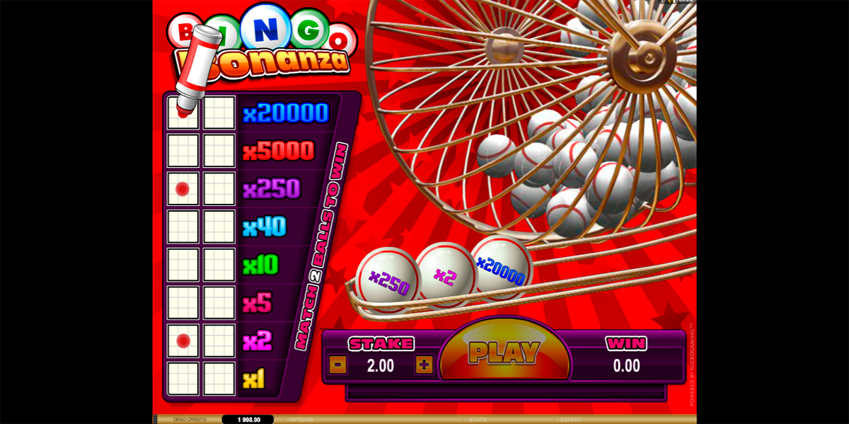 bingo bonanza microgaming
