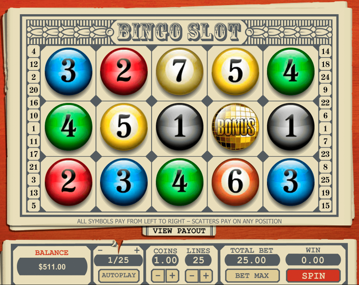 bingo slot pragmatic