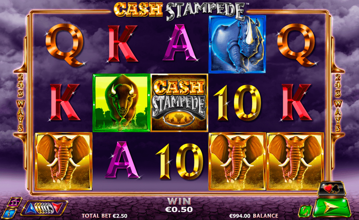 cash stampede netgen gaming