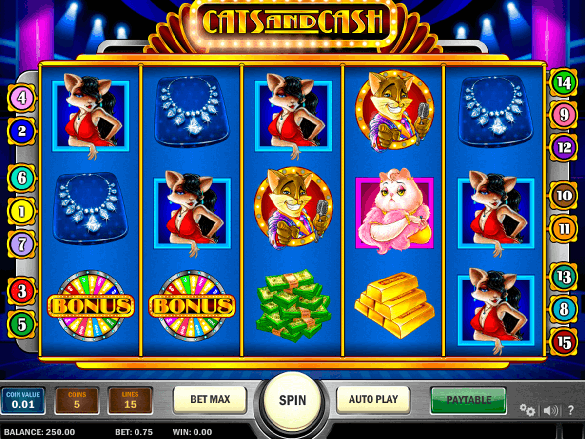 cats and cash playn go