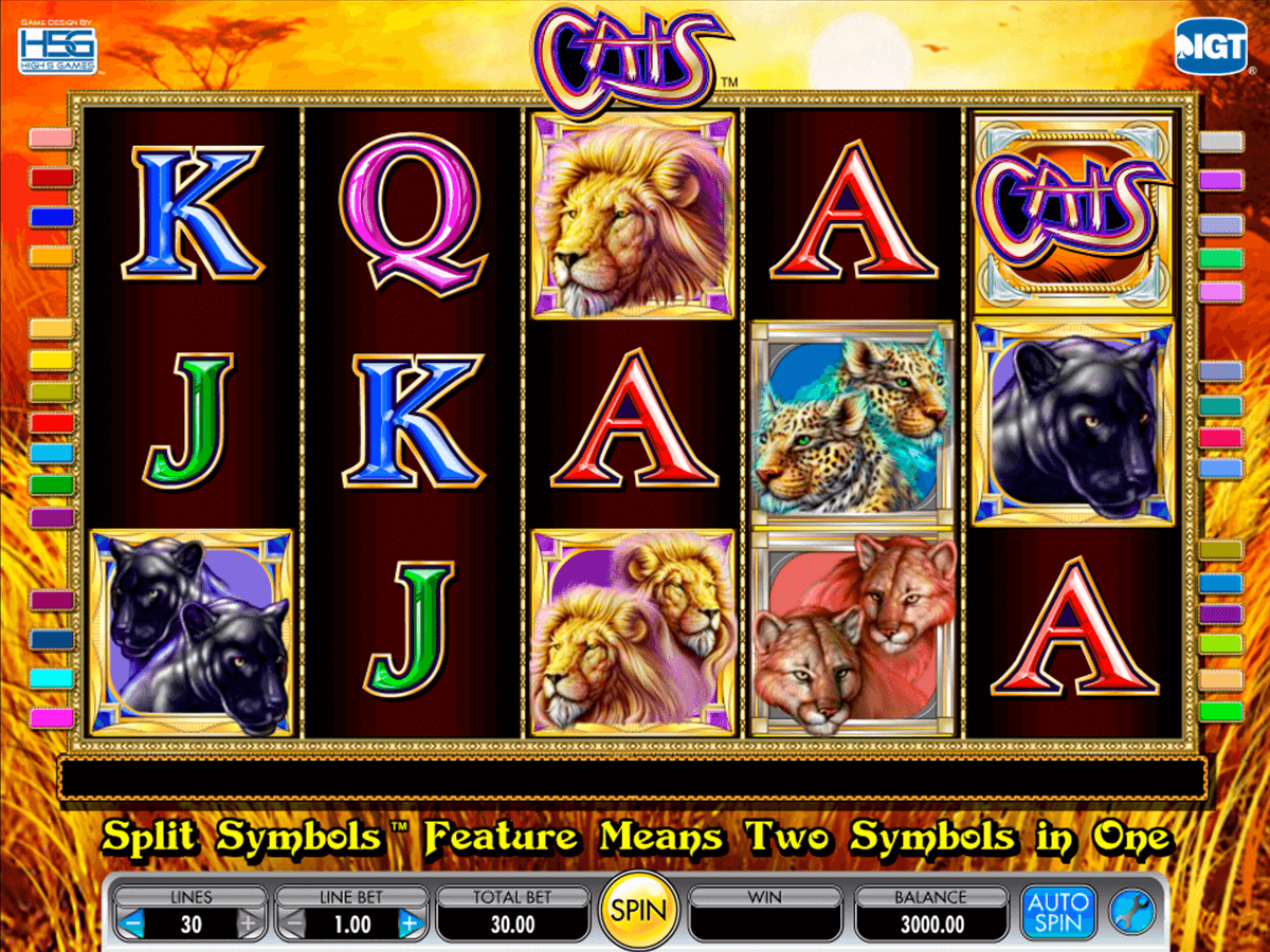 cats igt