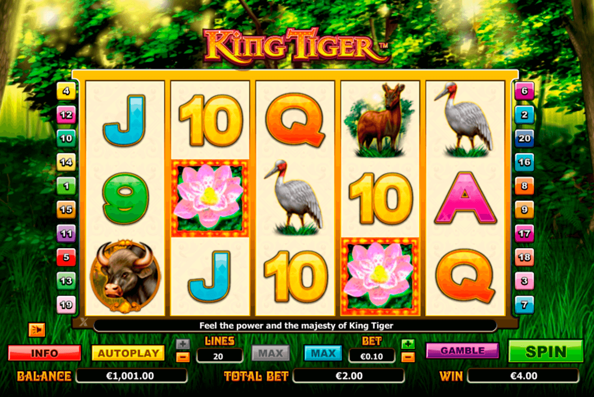 king tiger netgen gaming