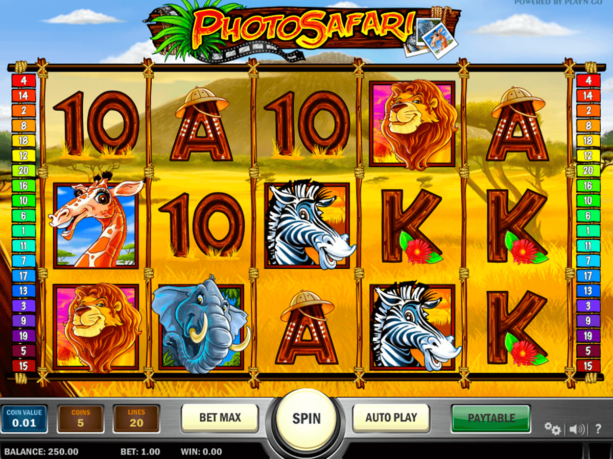 photo safari playn go