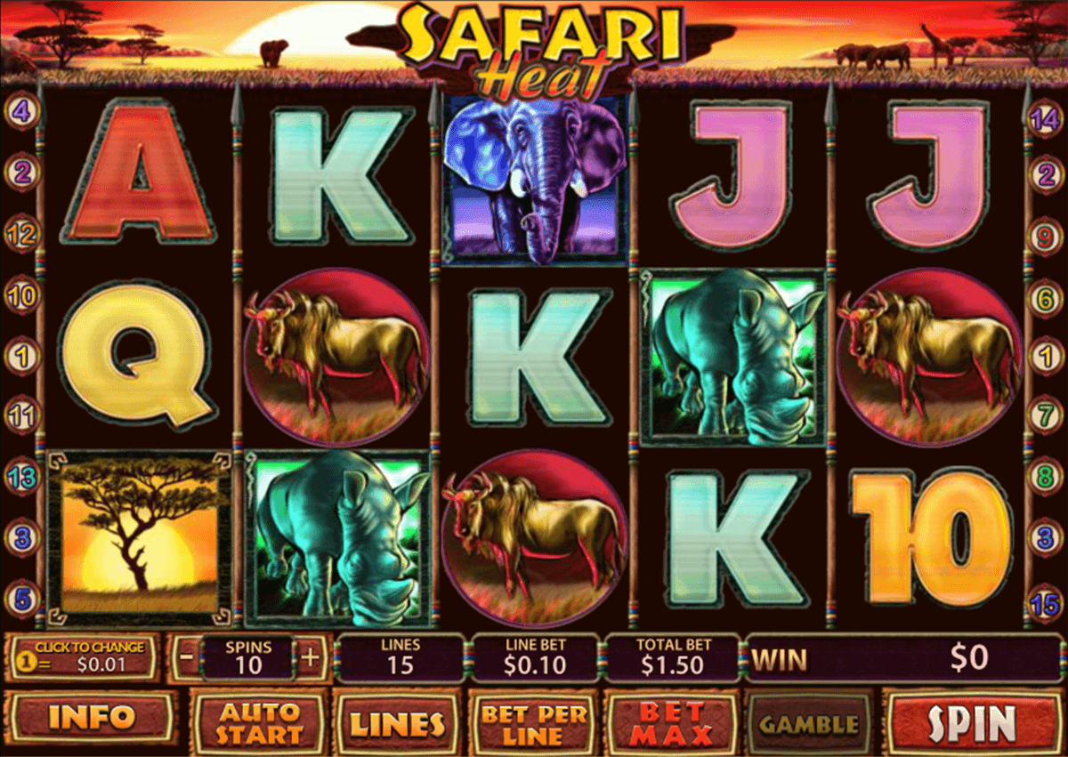 safari heat playtech