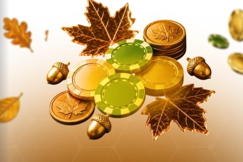 ボーナス
