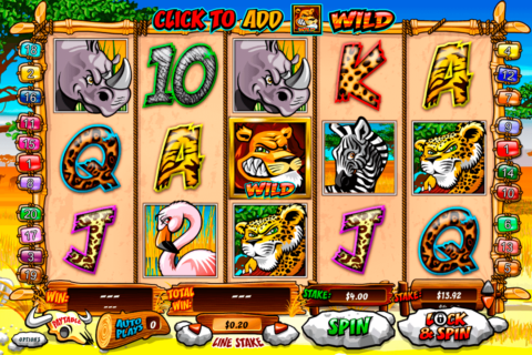 wild gambler playtech
