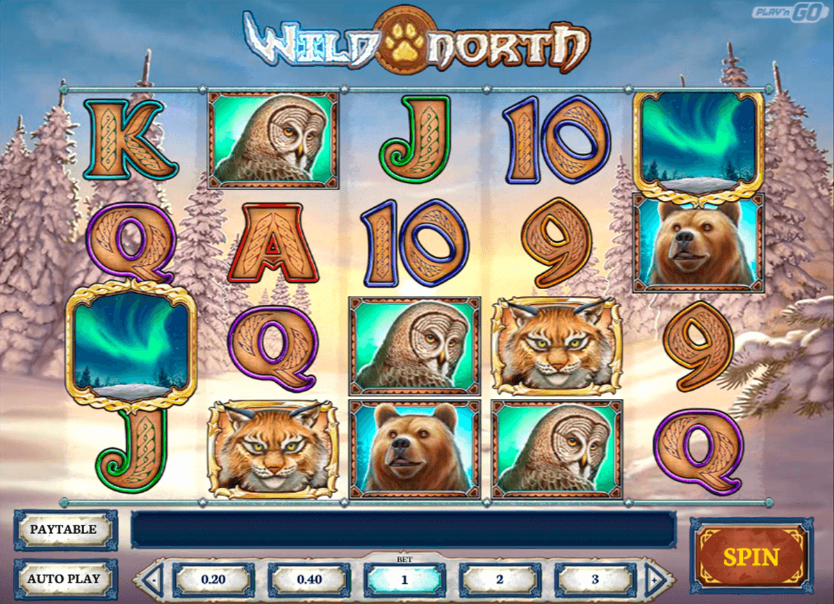 wild north playn go