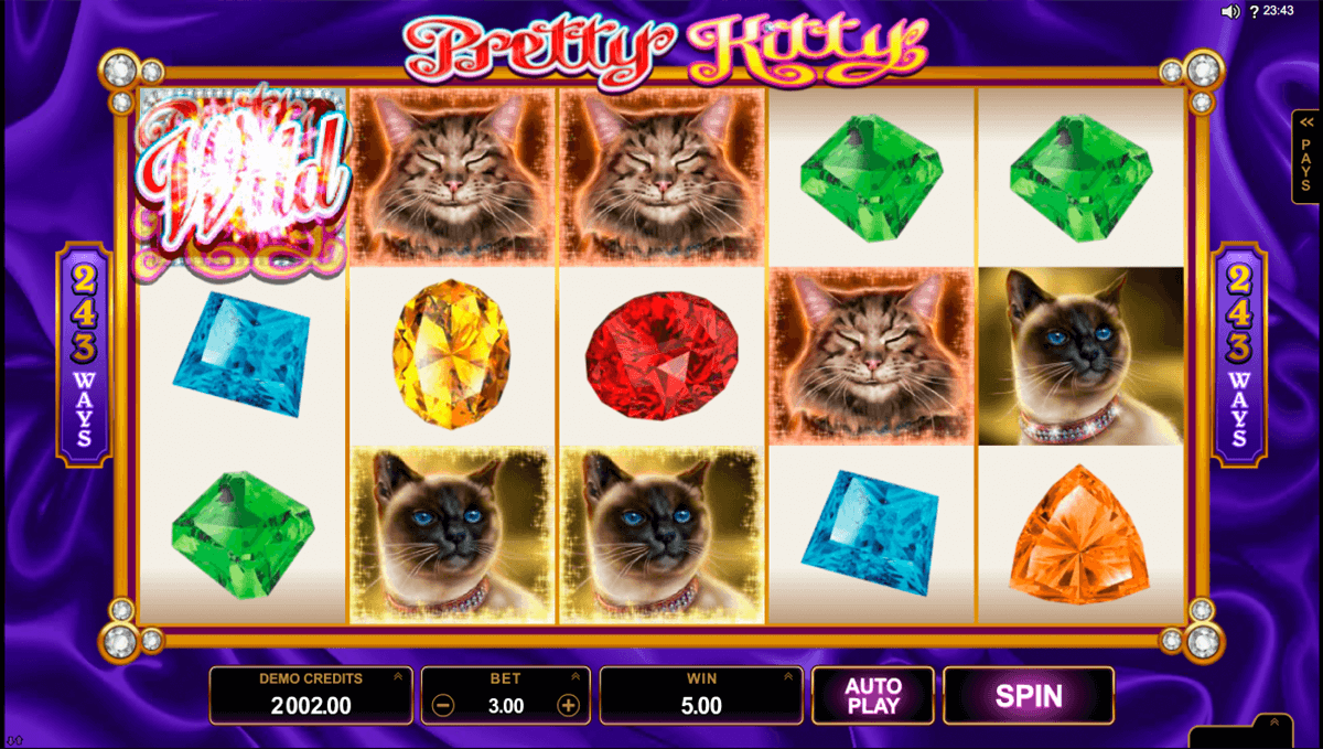 win sum dim sum microgaming